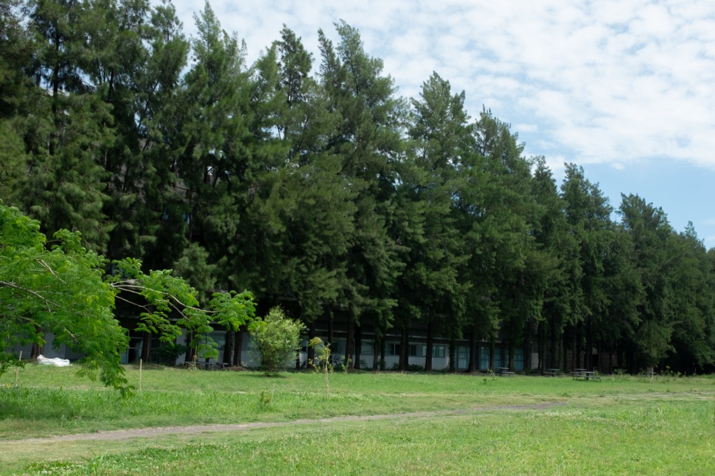 bosquecito2
