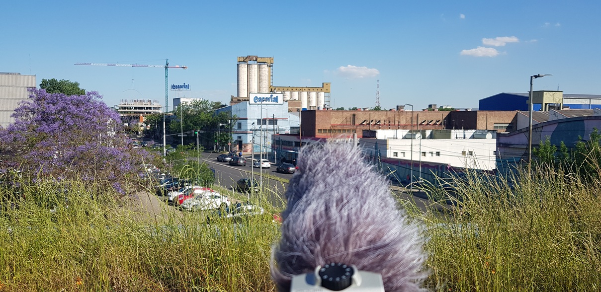 panoramicahoyer